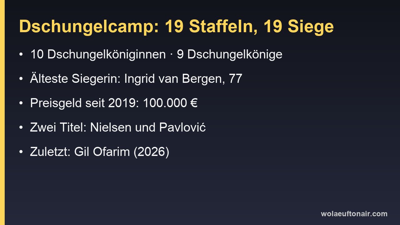 Infokarte mit den wichtigsten Zahlen aus 19 Dschungelcamp-Staffeln